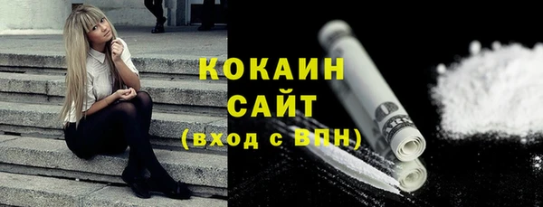 индика Арсеньев